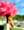 Gikkik, photo blurred until you sign in