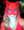 Nicha, photo blurred until you sign in