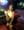Pompam, photo blurred until you sign in