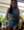 Poopae, photo blurred until you sign in