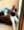 Pui🌻, photo blurred until you sign in