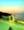 MaPrang, photo blurred