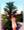 Bell🔔🔔 15 36, photo blurred