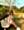 Bell, photo blurred