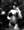 Araya Artsila, photo blurred