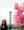 Ploy N, photo blurred until you sign in