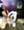 Da, photo blurred